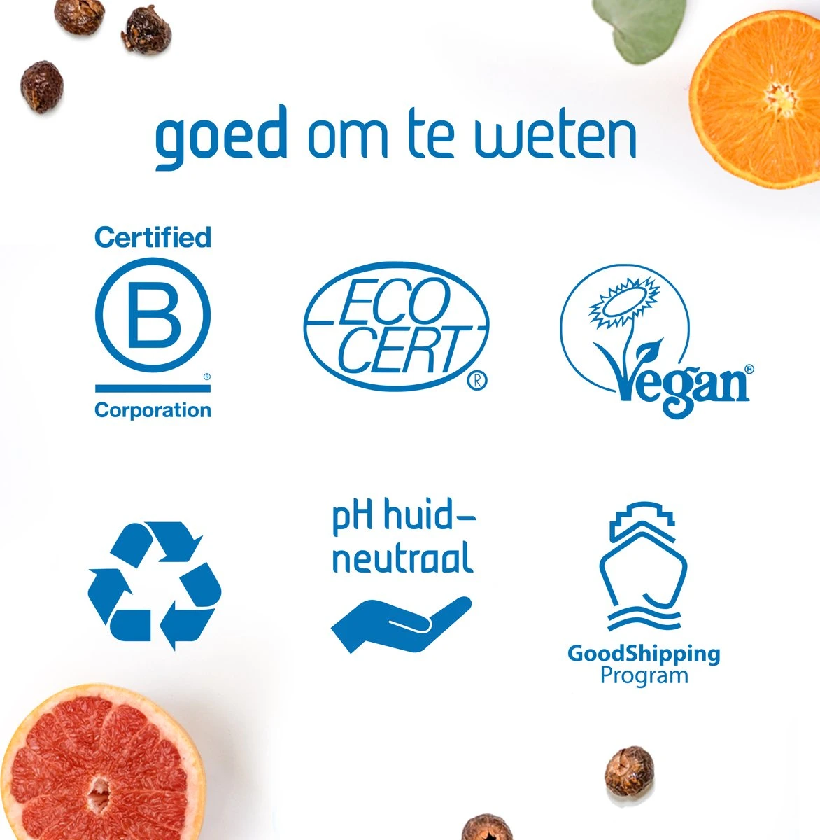 Seepje Wasfeest Pakket - 3 X Wasmiddel - 2 X Wasverzachter - Waszeep - Vlekkenverwijderaar - Natuurlijke Ingredienten - 69 Wasbeurten 4 Seepje Wasfeest Pakket - 3 X Wasmiddel - 2 X Wasverzachter - Waszeep - Vlekkenverwijderaar - Natuurlijke Ingredienten - 69 Wasbeurten - Afbeelding 2