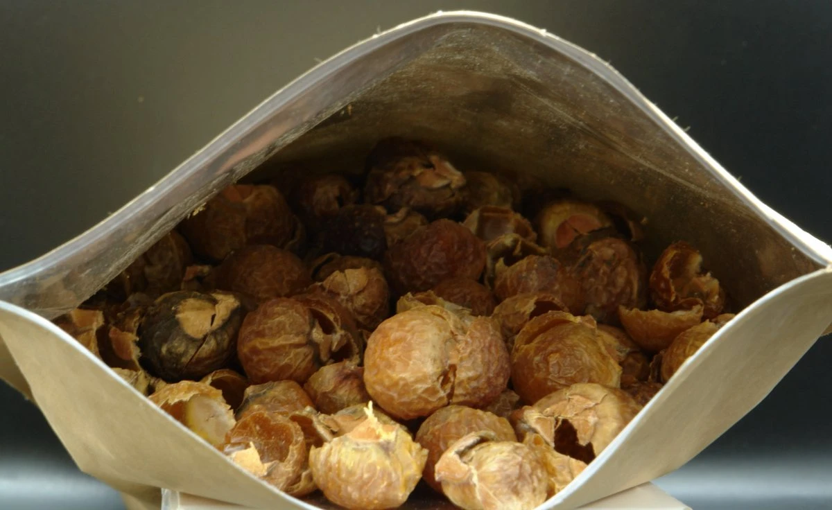 Wasnoten 3kg Met 4 Waszakjes - Zeepnoten - Natuurlijk Wassen - 4x750gr - Afbeelding 6