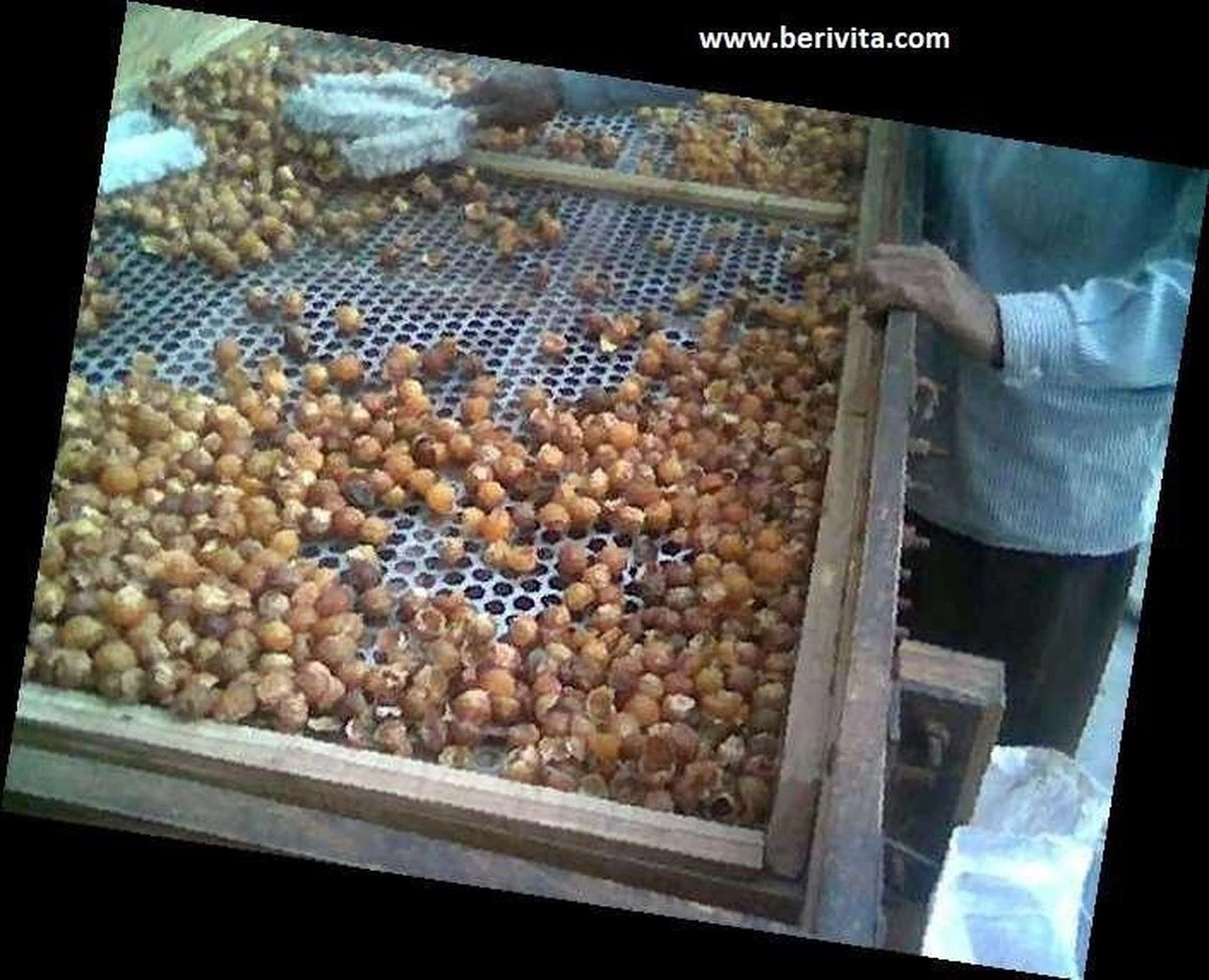 Wasnoten 3kg Met 4 Waszakjes - Zeepnoten - Natuurlijk Wassen - 4x750gr - Afbeelding 5