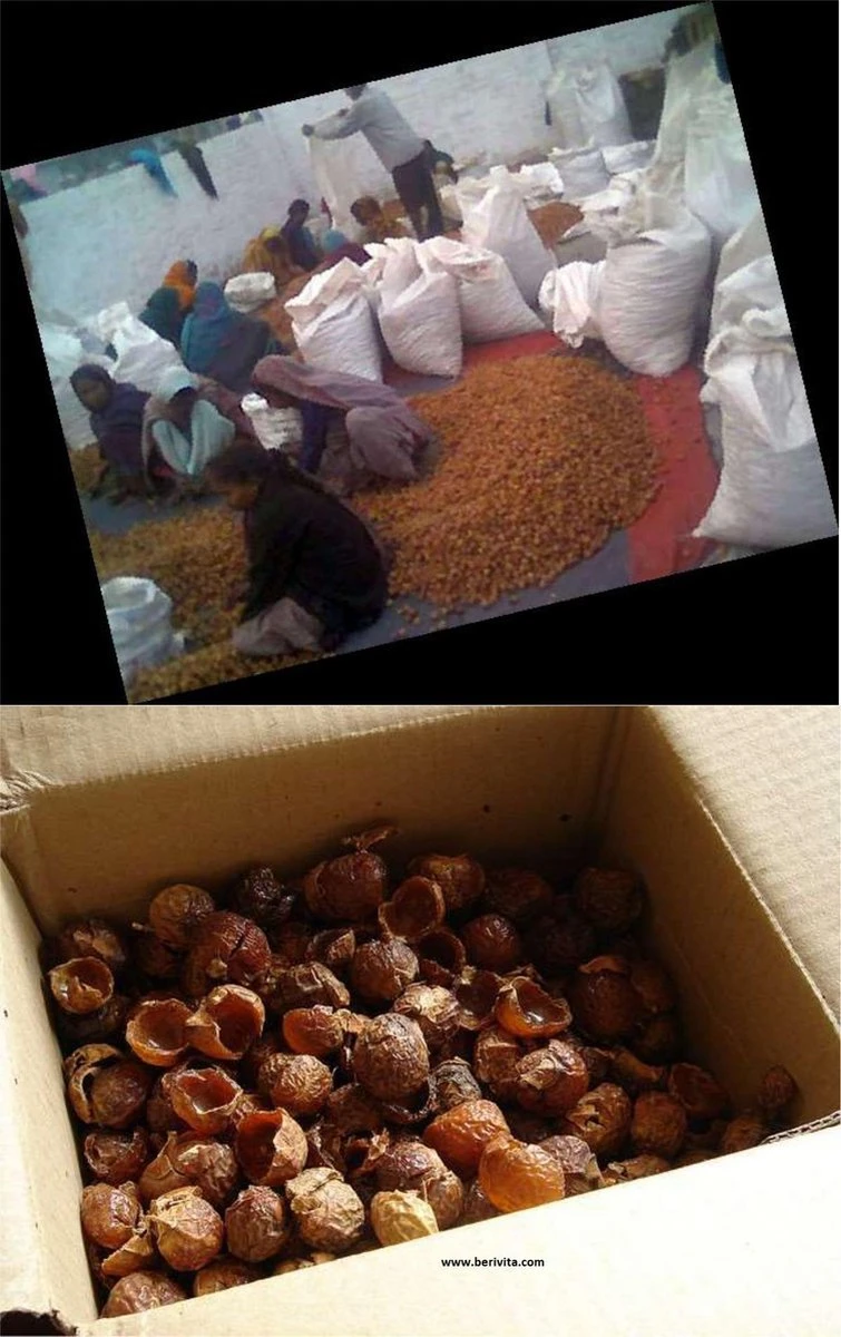 Wasnoten 3kg Met 4 Waszakjes - Zeepnoten - Natuurlijk Wassen - 4x750gr - Afbeelding 4